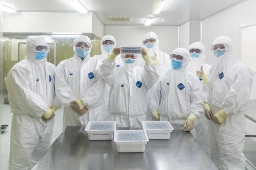 科技抗疫雙喜臨門 皖企新冠疫苗獲臨床批準，北京信息技術服務同步啟動